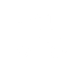 Icon for ticket MINIVAN PLAKETTE